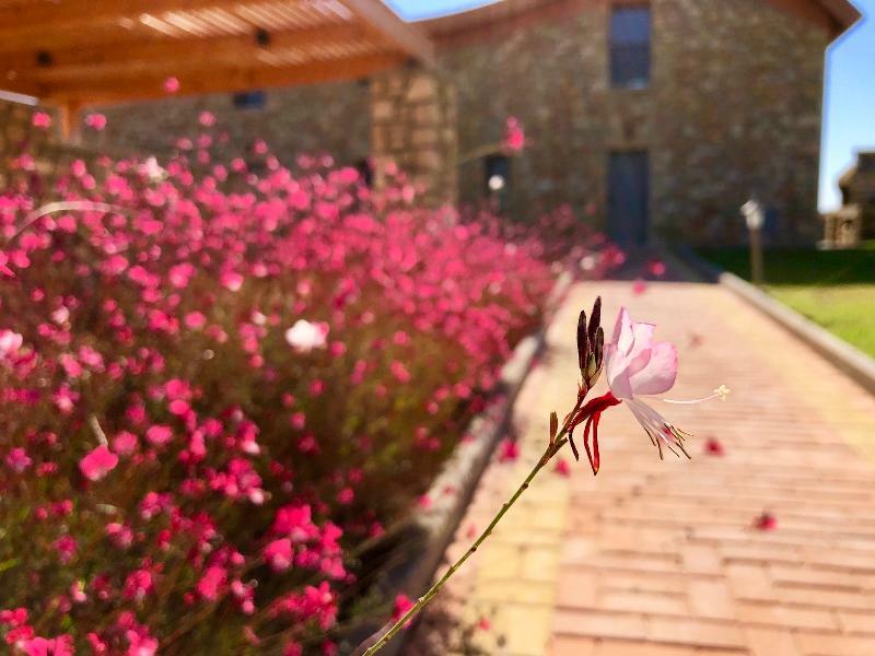 Estrella Villas Лардос Екстериор снимка