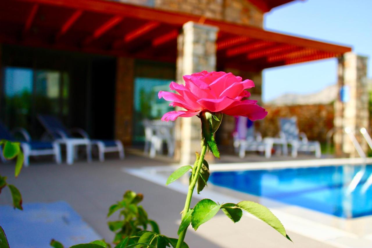 Estrella Villas Лардос Стая снимка
